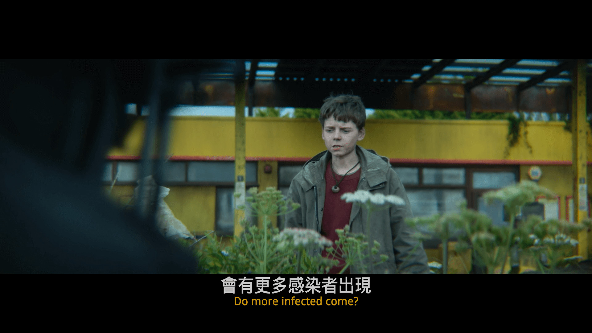 惊变28年 28 Years Later(2025)【4K HDR 高码率】 杜比全景声 【内封简英双语特效字幕】【11.9G】